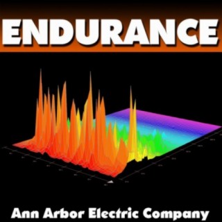 Ann Arbor Electric Company