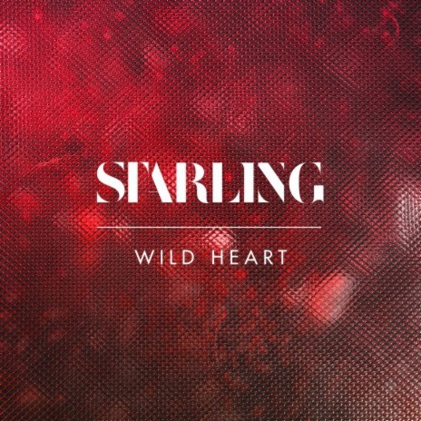 Wild Heart | Boomplay Music