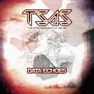 Data Echoes