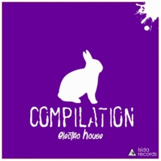 Electro House Compilation