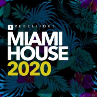 Miami House 2020, Vol. 5