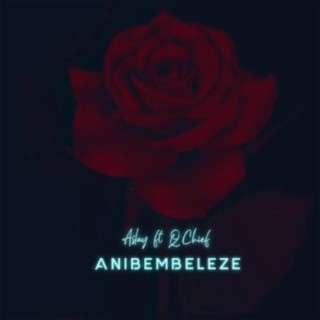 Nani Anibembeleze ft. Q Chief lyrics | Boomplay Music