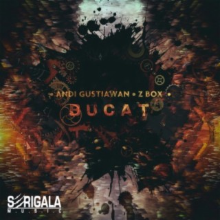 Bucat