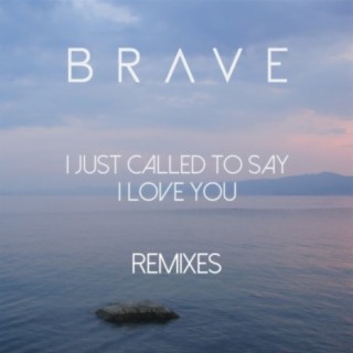I Just Called to Say I Love You (Remixes)