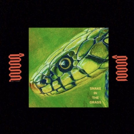 Snake In The Grass | Boomplay Music