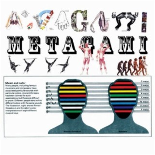 Metagami