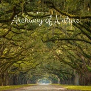 Archway of Nature