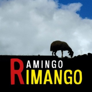 Ramingo