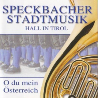 Speckbacher Stadmusik Hall in Tirol