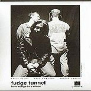 Fudge Tunnel