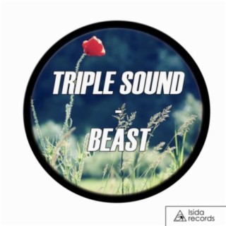 Triple Sound