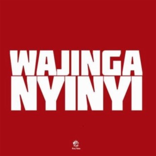 Wajinga Nyinyi lyrics | Boomplay Music