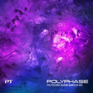 Polyphase - Polytechnic Album Sampler 002