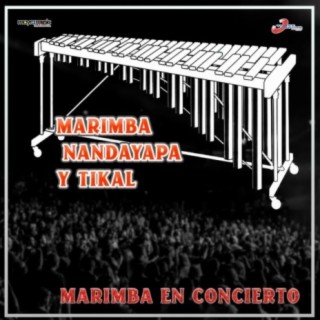 Marimba En Concierto