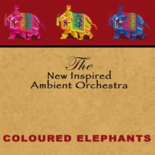 The New Inspired Ambient Orchestra