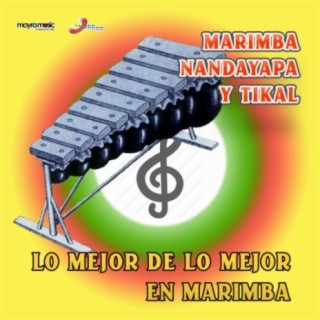 Lo Mejor De Lo Mejor En Marimba