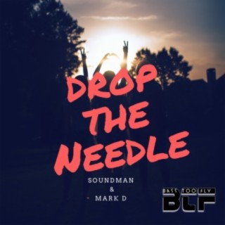 Drop The Needle