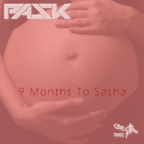 9 Months To Sasha (Original Mix)