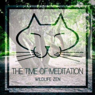 The Time Of Meditation