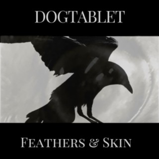 Feathers & Skin