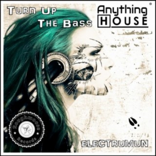 Turn Up The Bass