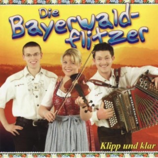 Bayerwaldflitzer - A fetz'n Gaudi