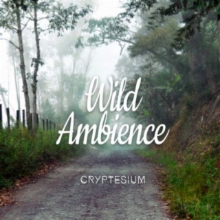 Wild Ambience