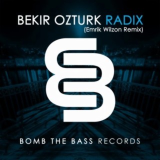 Radix (Emrik Wilzon Remix)