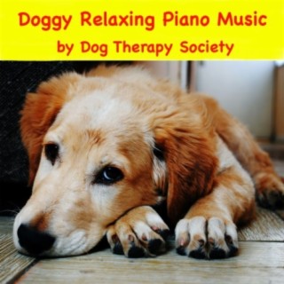 Doggy Relaxing Piano Music