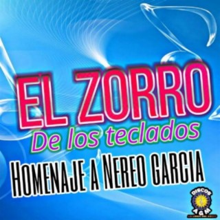 El Zorro De Los Teclados