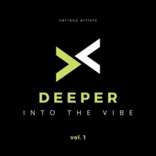 Deeper Into The Vibe, Vol. 1