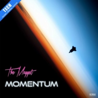 Momentum