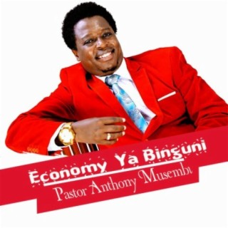 Economy Ya Binguni