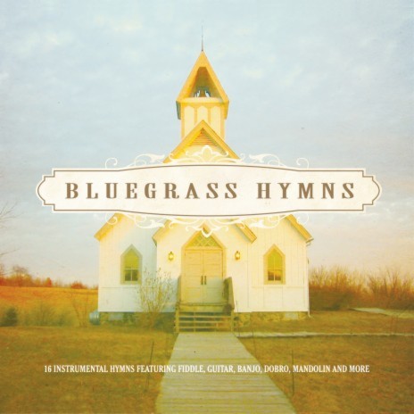 I'll Fly Away (Bluegrass Hymns Album Version) | Boomplay Music