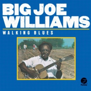 Walking Blues