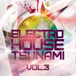 Electro House Tsunami, Vol. 3