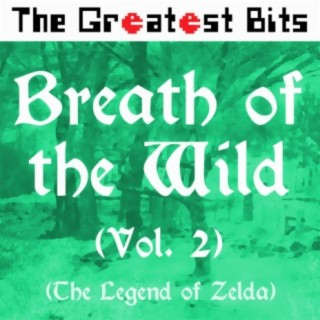 Breath of the Wild, Vol. 2 (The Legend of Zelda)