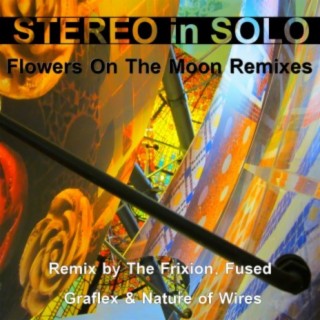 Flowers on the Moon Remixes