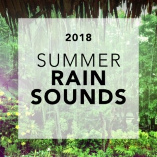 Summer Rain Sounds 2018