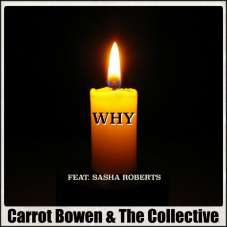 Why (feat. Sasha Roberts) | Boomplay Music