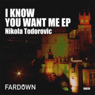 I Know You Want Me EP