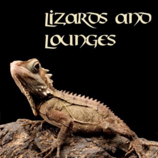 Lizards and Lounges