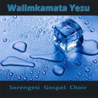 Serengeti Gospel Choir