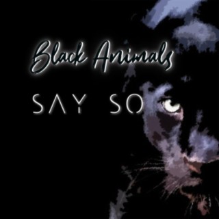 Black Animals