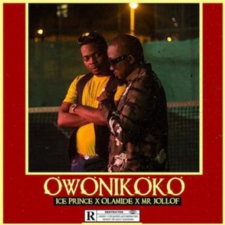 Owonikoko ft. Olamide & Mr. Jollof lyrics | Boomplay Music