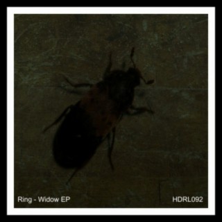 Widow EP