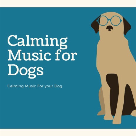 Calming Music for Your Dog | Boomplay Music