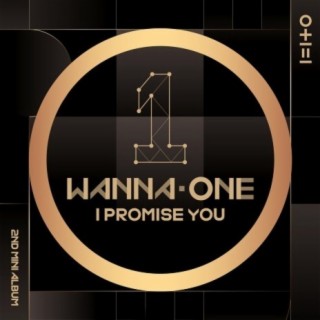 I PROMISE YOU (I.P.U.) lyrics | Boomplay Music