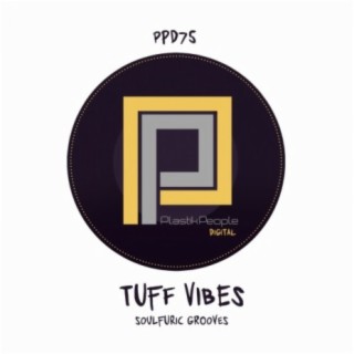 Soulfuric Grooves (Tuff Vibes Love To Jazz-N-Groove Mix)