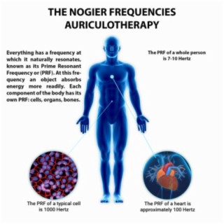 The Nogier Frequencies Auriculotherapy